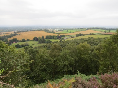 Bickerton Hill Views