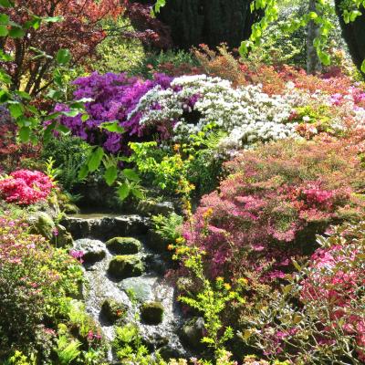Bodnant gardens
