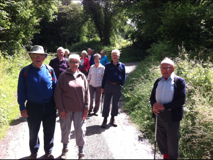 June Walk