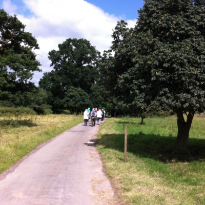 June Walk