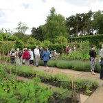 Ness Gardens jpg7